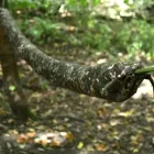 DD hammock sleeve MC by DD Hammocks DD-21813 color camouflage