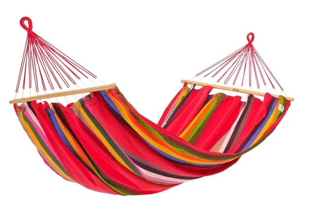 Graphik Ara Macao by Jobek JO-017004 color bunt