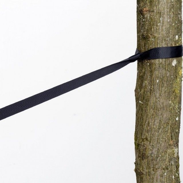 Amazonas tree huggers - Baumgurte 2 Stück by Amazonas AZ-3025004 color schwarz